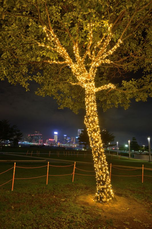 Christmas Decor Installation