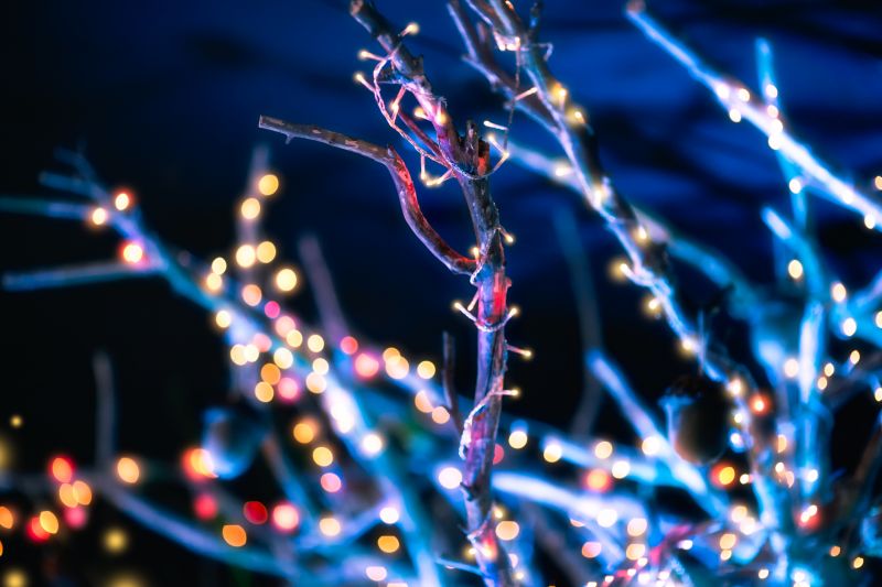 Christmas Tree Setup